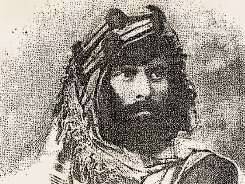 HAYBER -Son Ümit Planı-